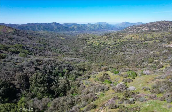 a view of a lush green hillside and a mountain