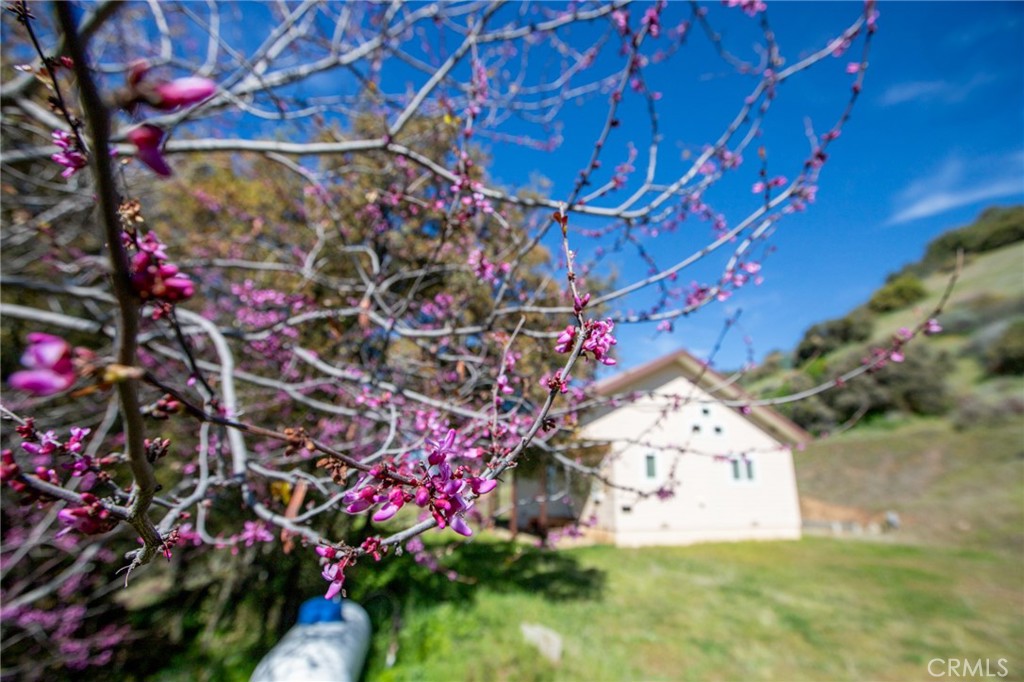 44981 Todd Eymann Road Dunlap, CA 93621 - Photo 44 of 74