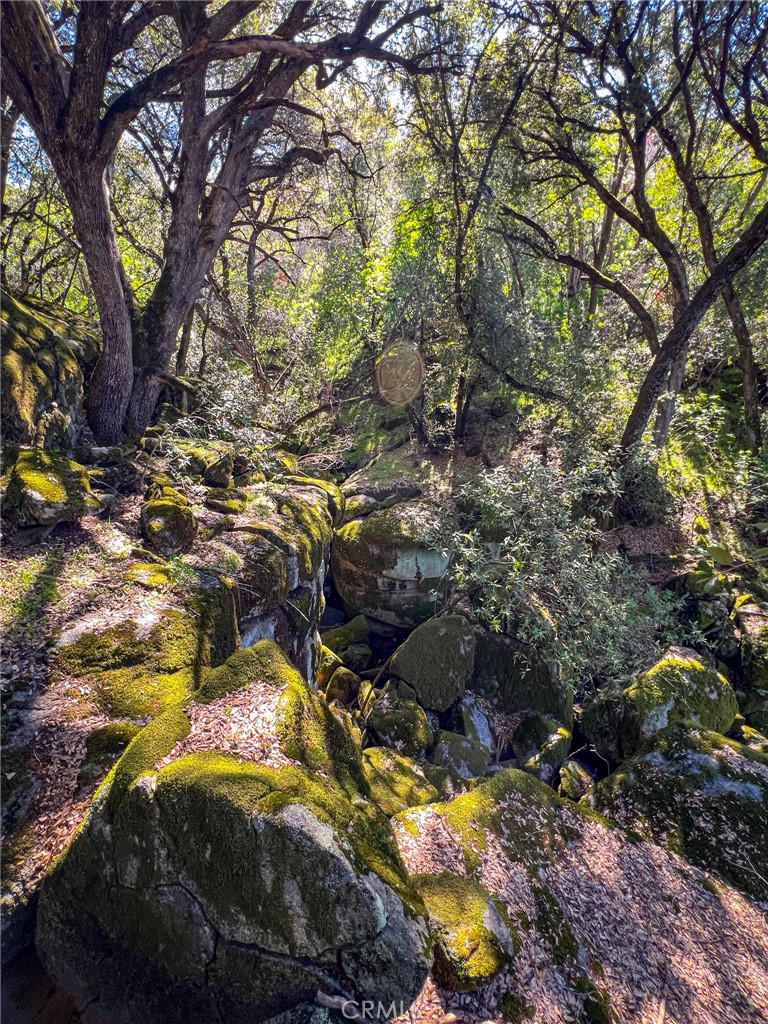 44981 Todd Eymann Road Dunlap, CA 93621 - Photo 49 of 74