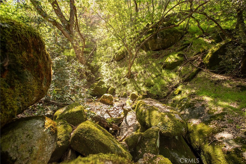 44981 Todd Eymann Road Dunlap, CA 93621 - Photo 52 of 74