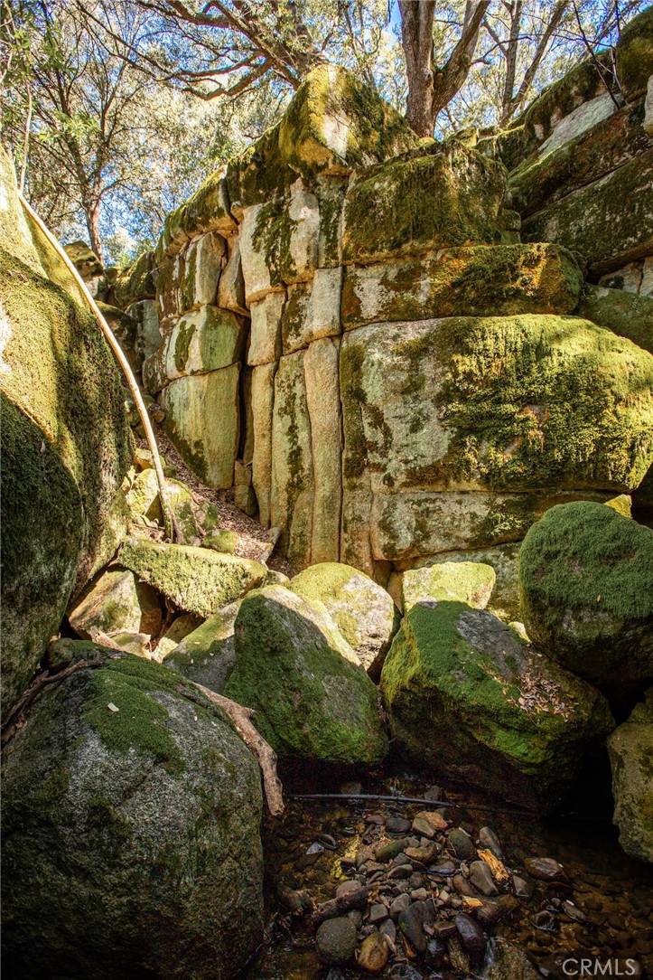 44981 Todd Eymann Road Dunlap, CA 93621 - Photo 53 of 74