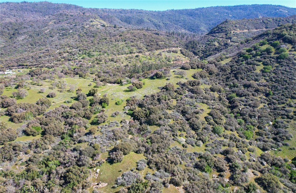 44981 Todd Eymann Road Dunlap, CA 93621 - Photo 54 of 74