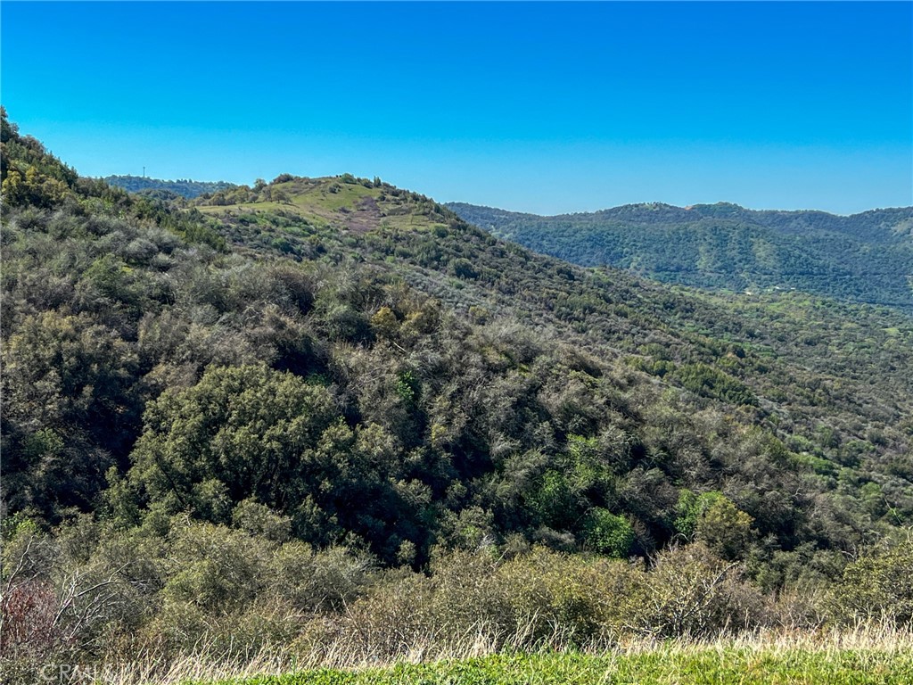 44981 Todd Eymann Road Dunlap, CA 93621 - Photo 60 of 74