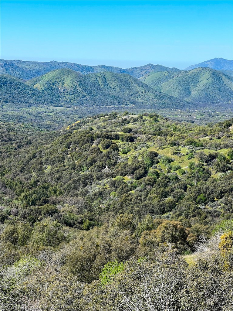44981 Todd Eymann Road Dunlap, CA 93621 - Photo 61 of 74