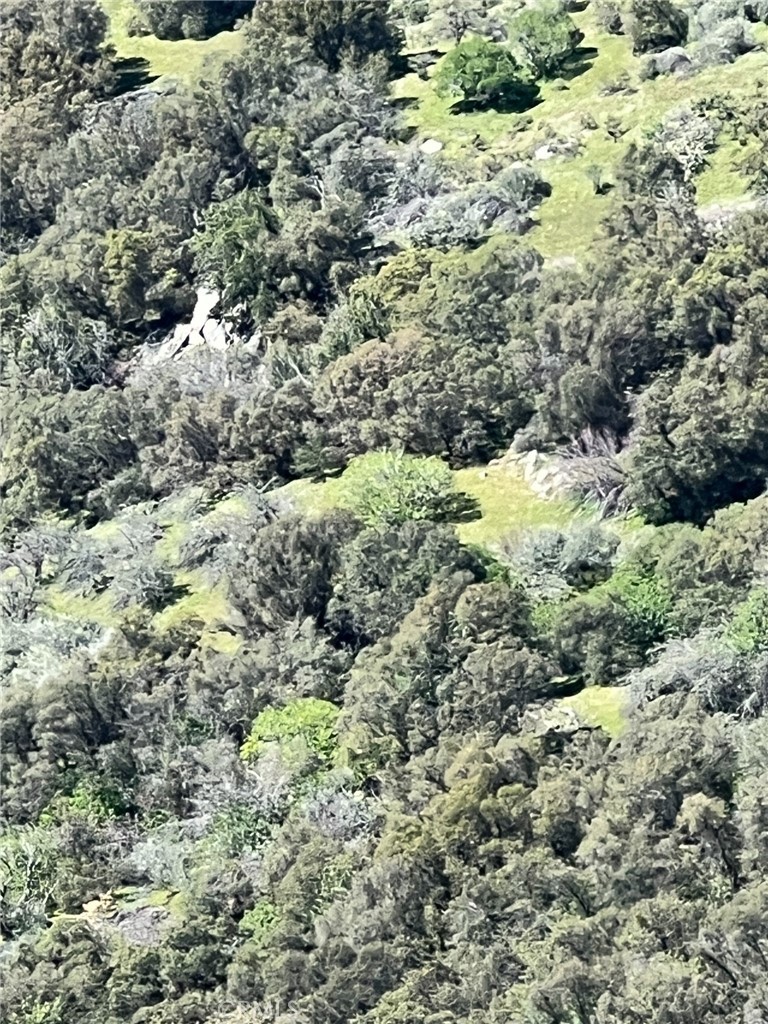 44981 Todd Eymann Road Dunlap, CA 93621 - Photo 63 of 74