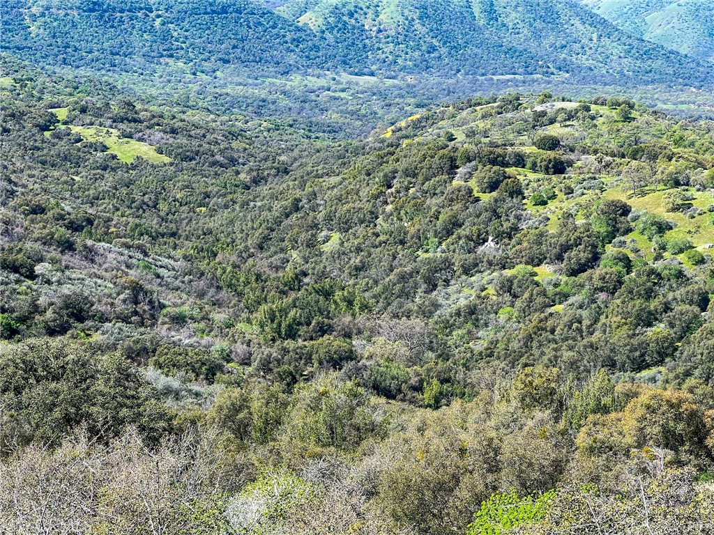 44981 Todd Eymann Road Dunlap, CA 93621 - Photo 64 of 74