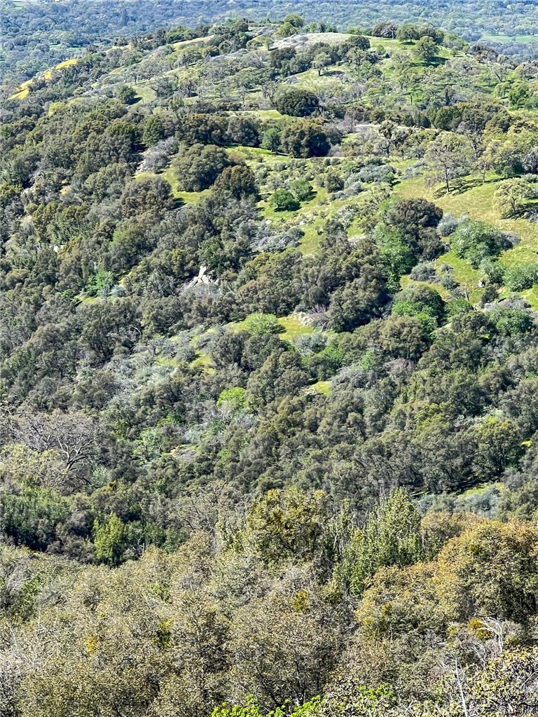 44981 Todd Eymann Road Dunlap, CA 93621 - Photo 65 of 74