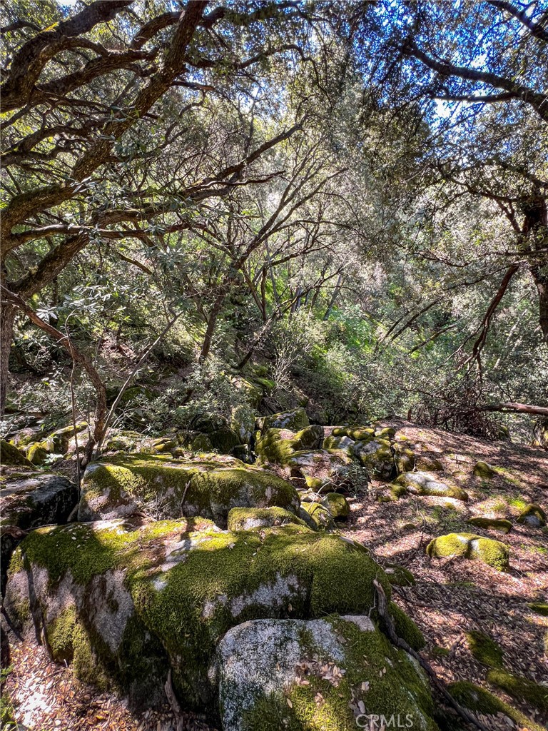 44981 Todd Eymann Road Dunlap, CA 93621 - Photo 66 of 74