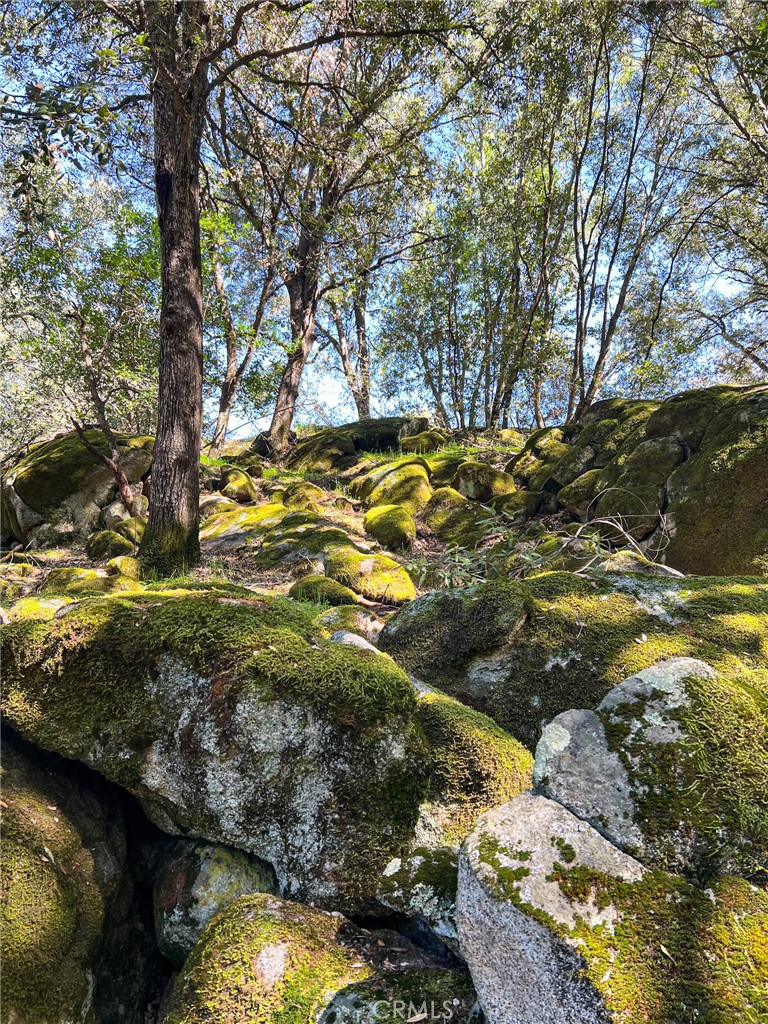 44981 Todd Eymann Road Dunlap, CA 93621 - Photo 67 of 74