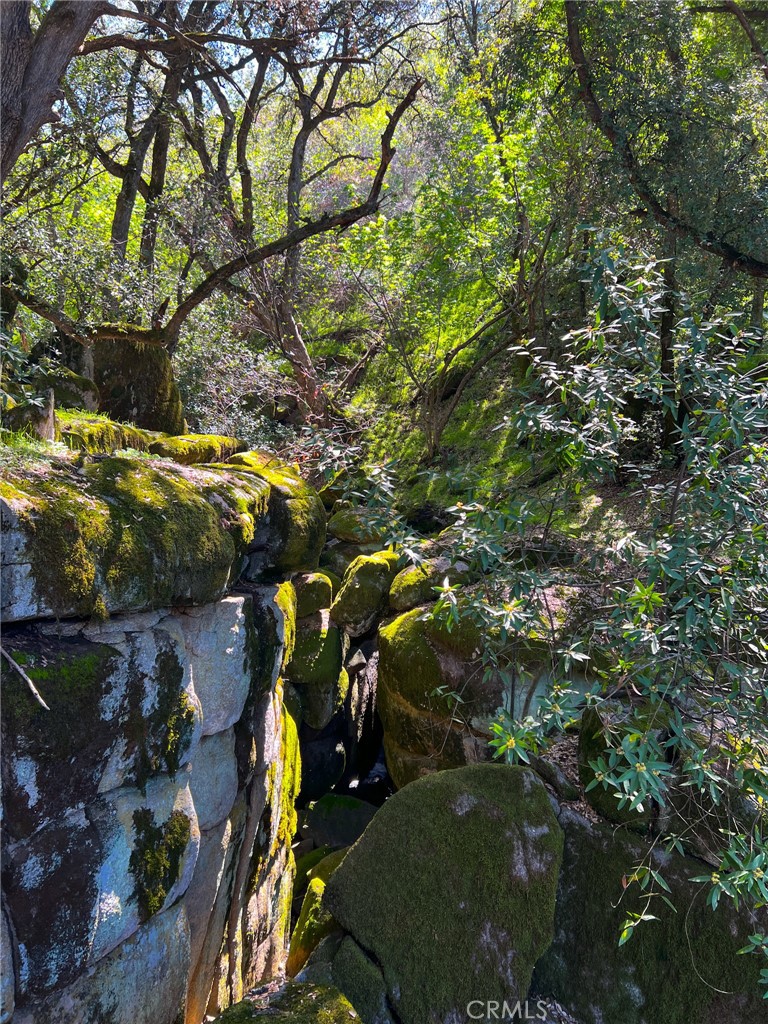 44981 Todd Eymann Road Dunlap, CA 93621 - Photo 68 of 74