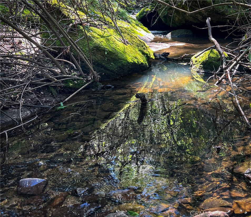 44981 Todd Eymann Road Dunlap, CA 93621 - Photo 69 of 74