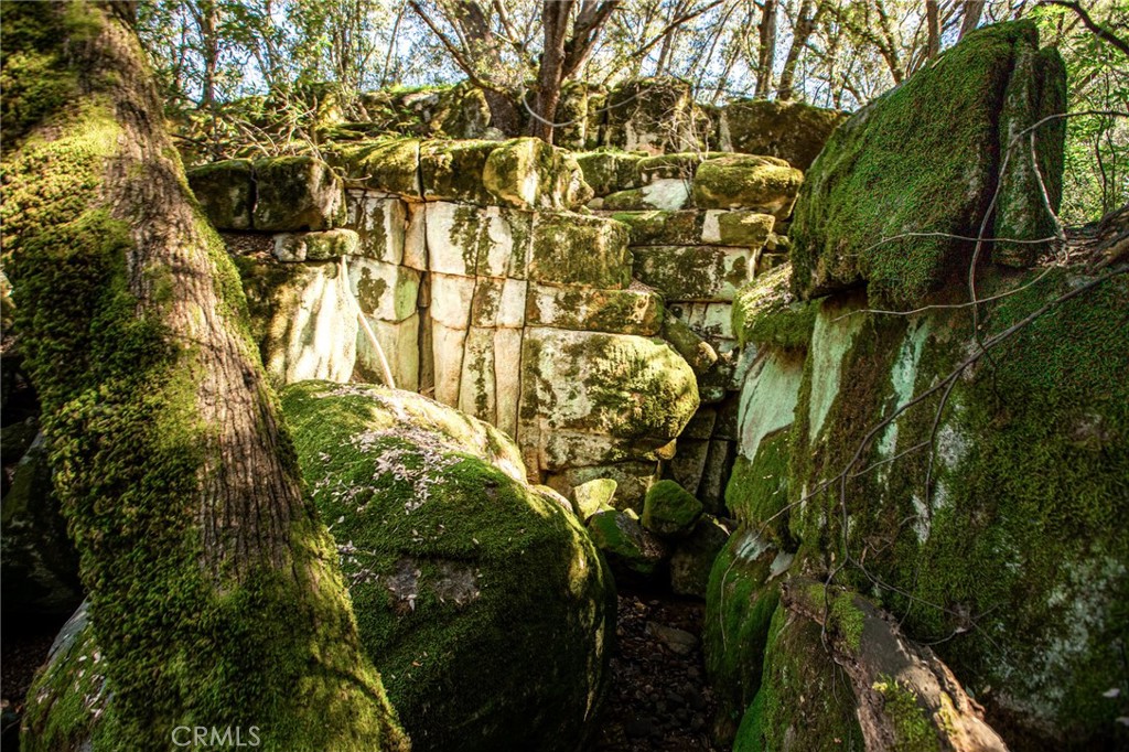 44981 Todd Eymann Road Dunlap, CA 93621 - Photo 7 of 74