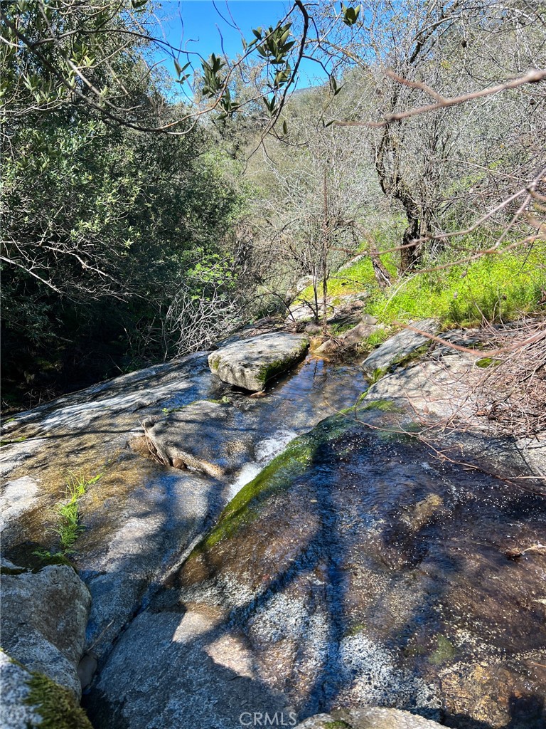 44981 Todd Eymann Road Dunlap, CA 93621 - Photo 71 of 74