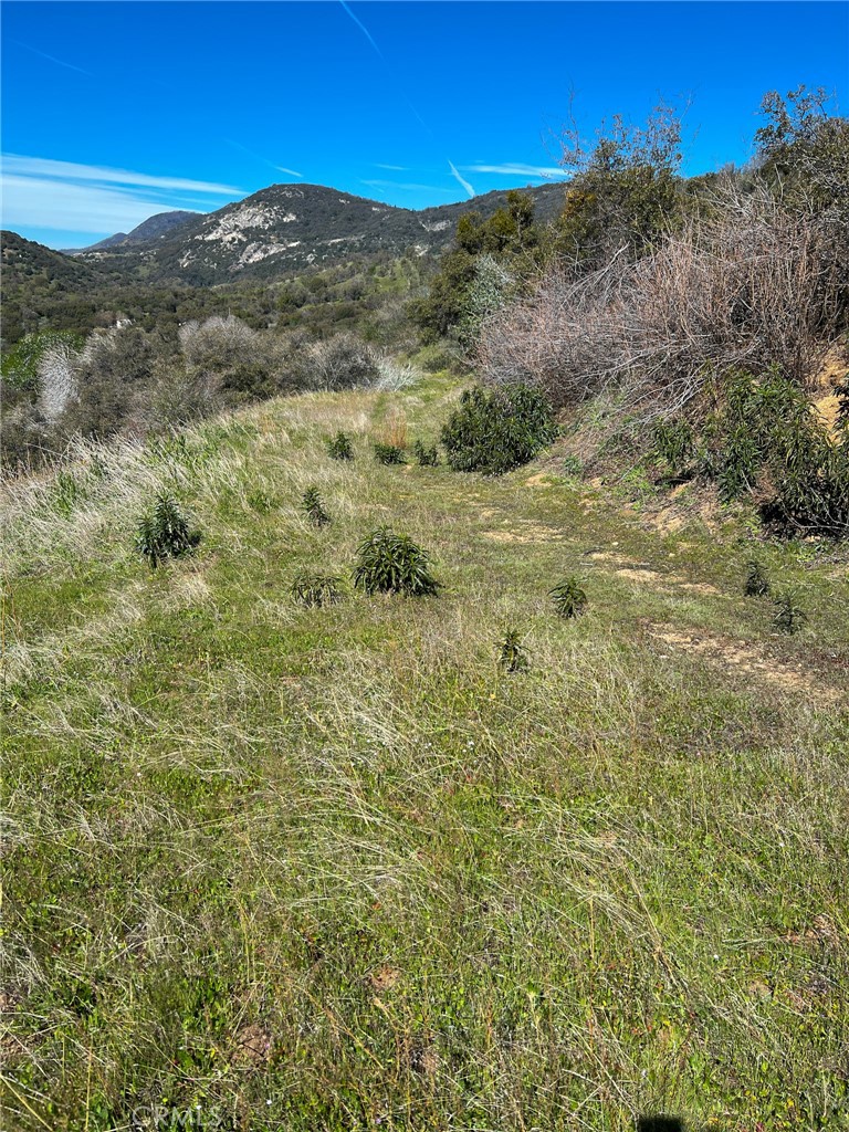 44981 Todd Eymann Road Dunlap, CA 93621 - Photo 72 of 74