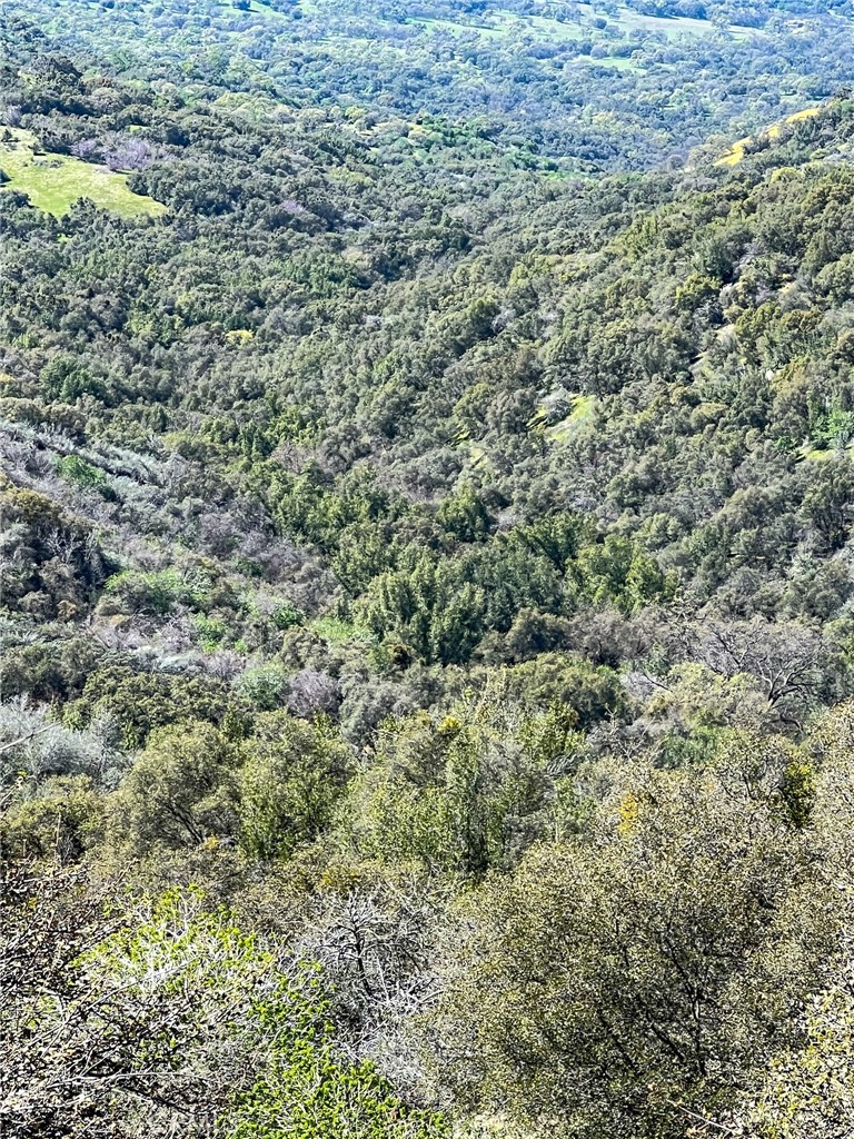 44981 Todd Eymann Road Dunlap, CA 93621 - Photo 74 of 74