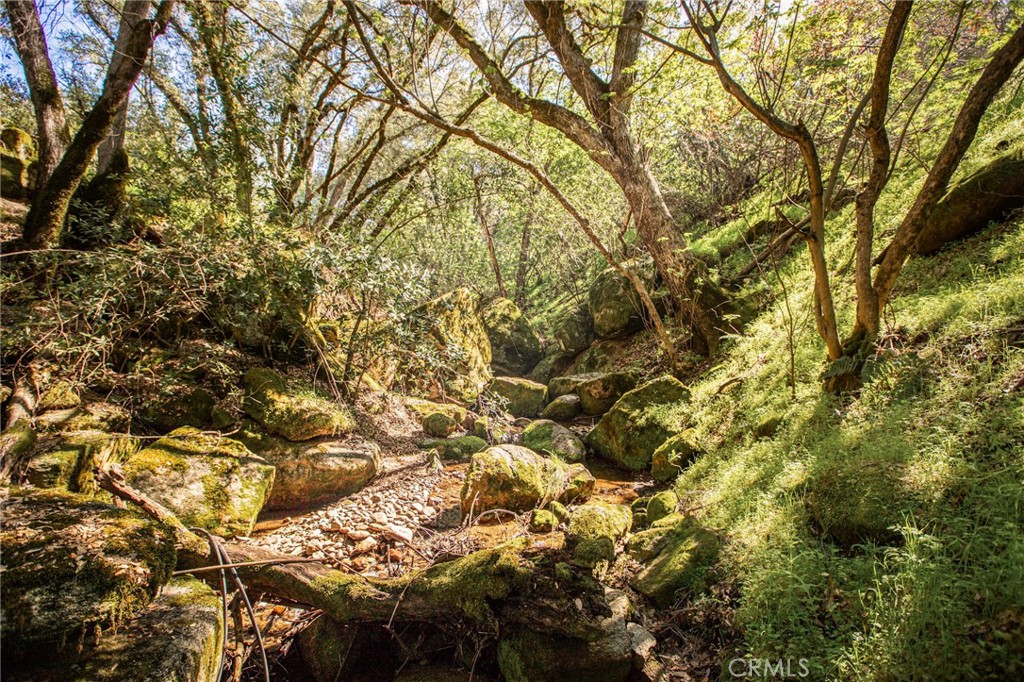 44981 Todd Eymann Road Dunlap, CA 93621 - Photo 9 of 74