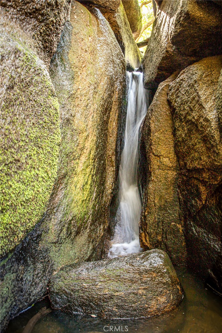 44981 Todd Eymann Road Dunlap, CA 93621 - Photo 10 of 74