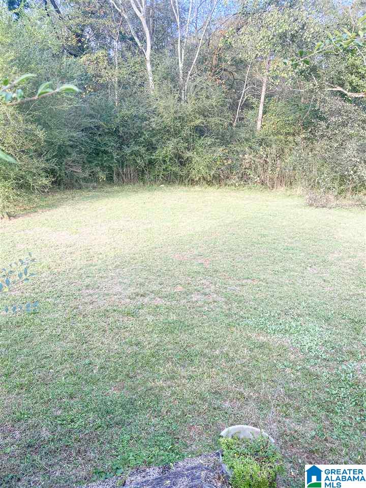 168 Mardisville Road Talladega, AL 35160 - Photo 43 of 44