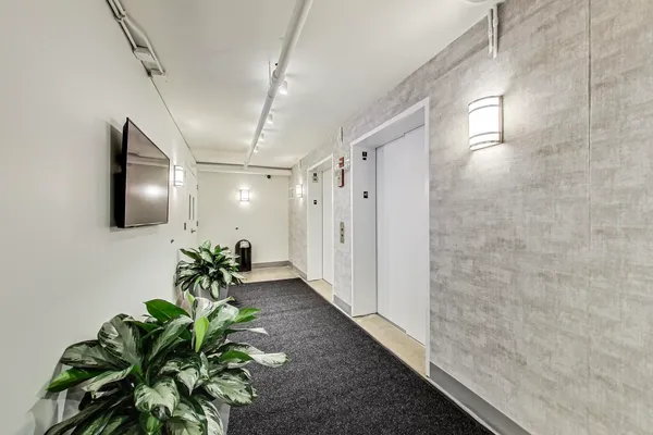 a hallway with painting on the wall and a potted plant