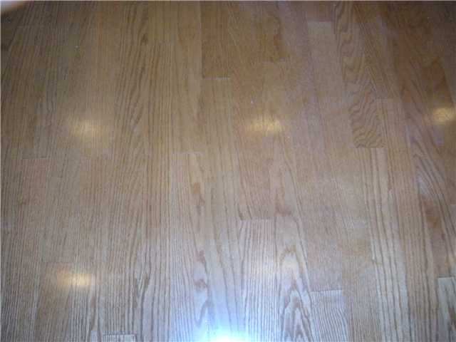 202 East 45th Street, Unit 204 Austin, TX 78751 - Photo 4 of 4