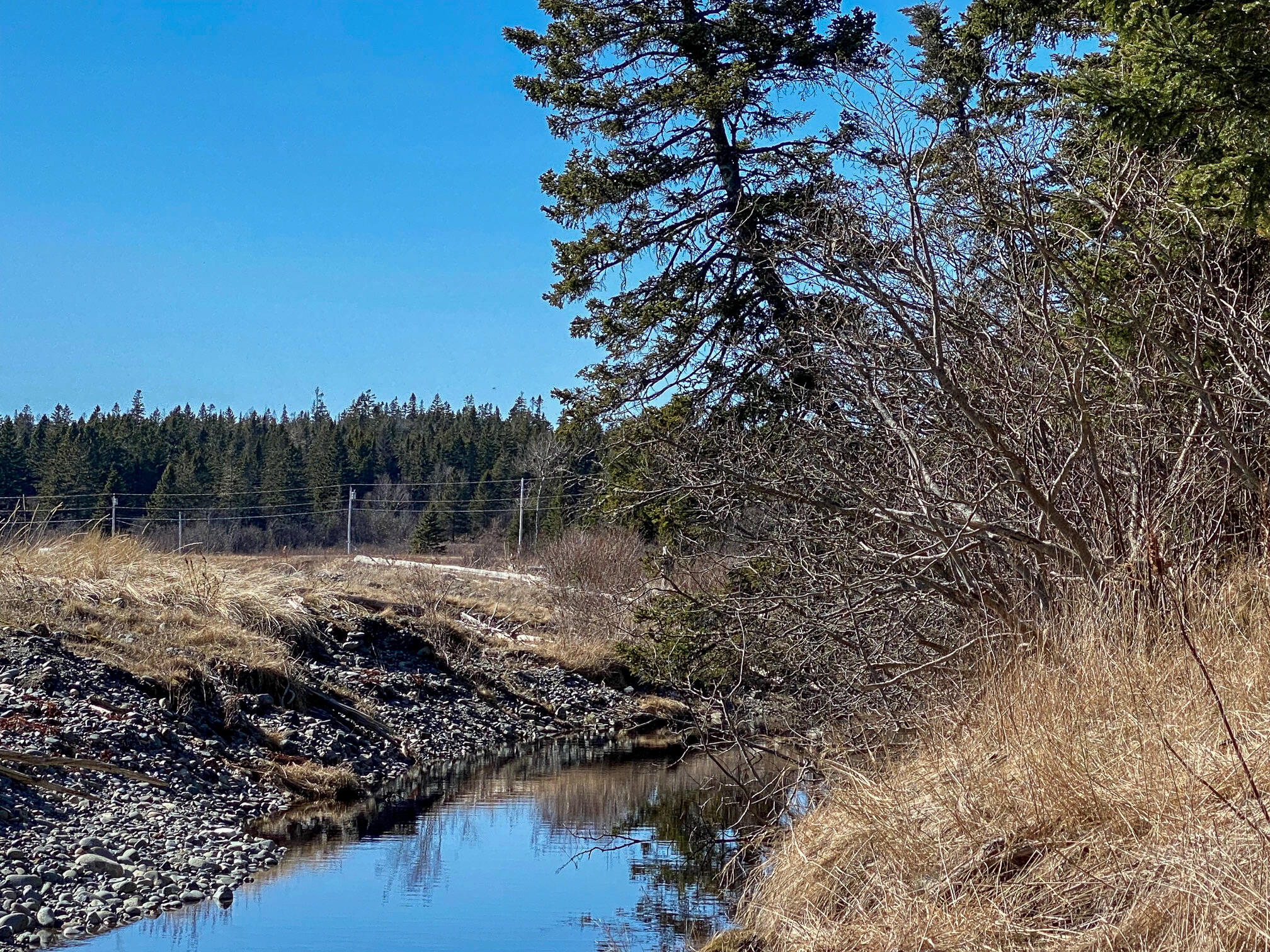 Lot 10-7 Boot Cove Road Lubec, ME 04652 - Photo 9 of 14 11. West view along shorefront towards b
