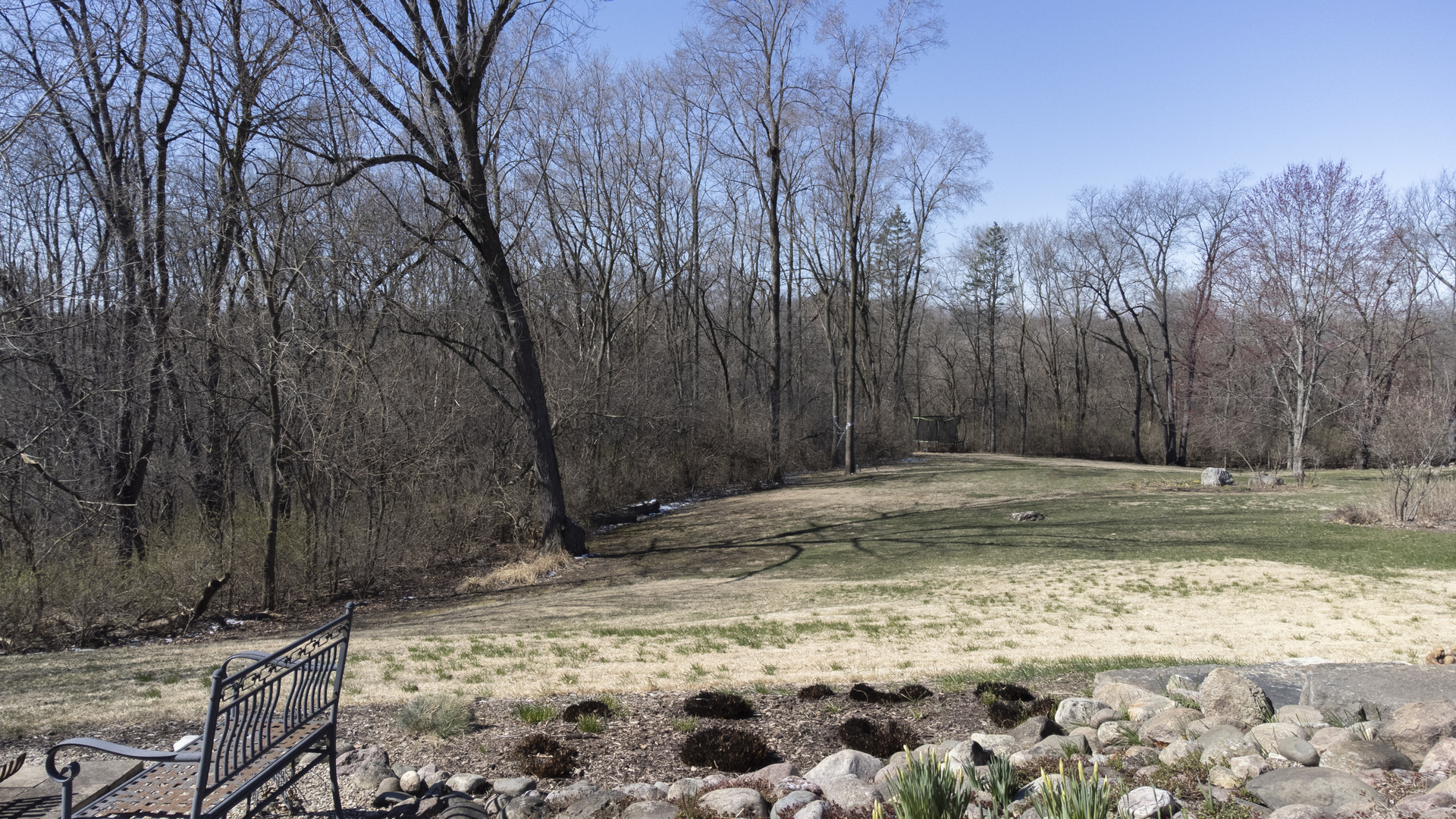 38W481 Silver Glen Road St. Charles, IL 60175 - Photo 16 of 21 a view of a yard with trees