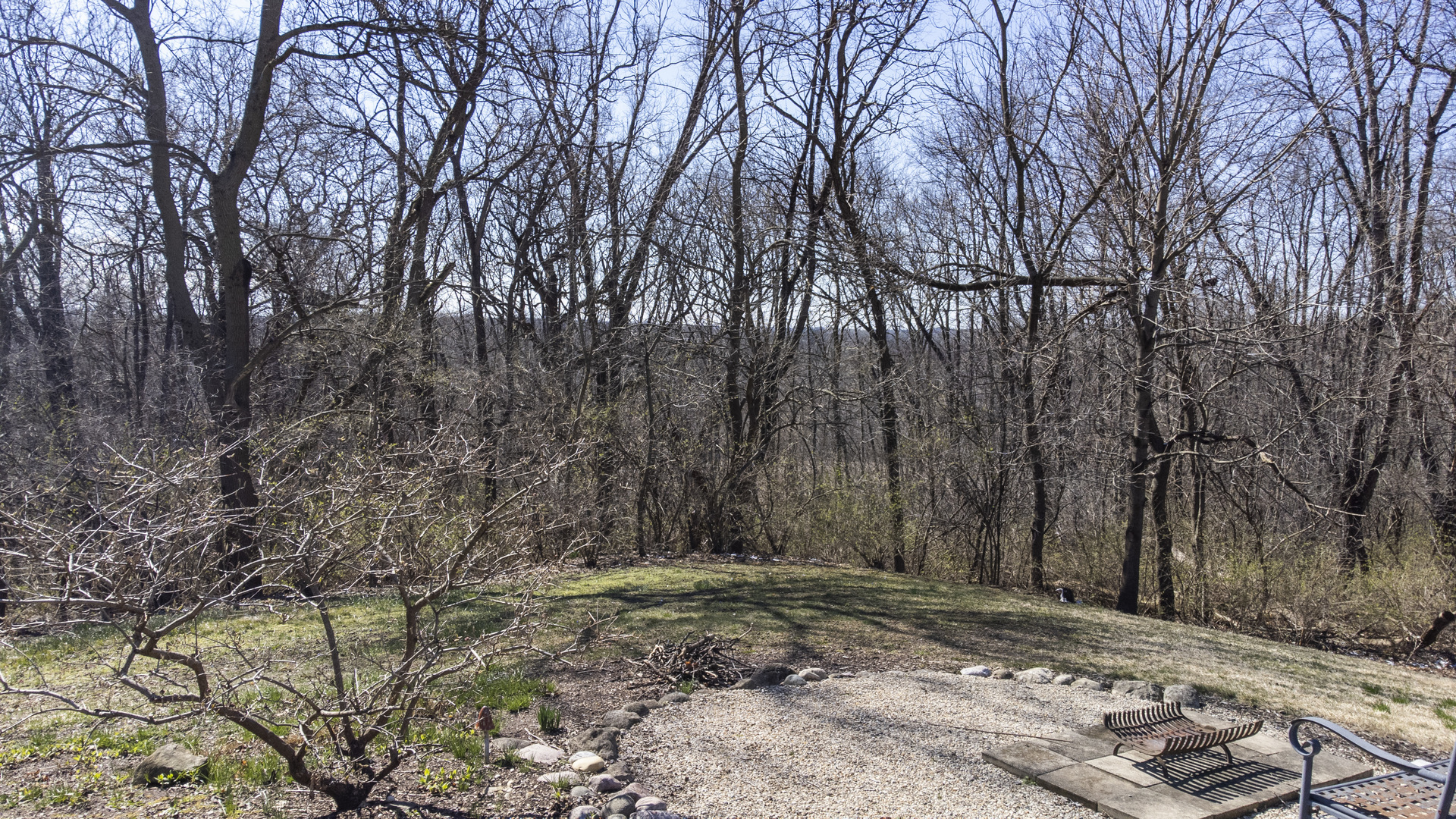 38W481 Silver Glen Road St. Charles, IL 60175 - Photo 17 of 21 a view of a backyard with large trees