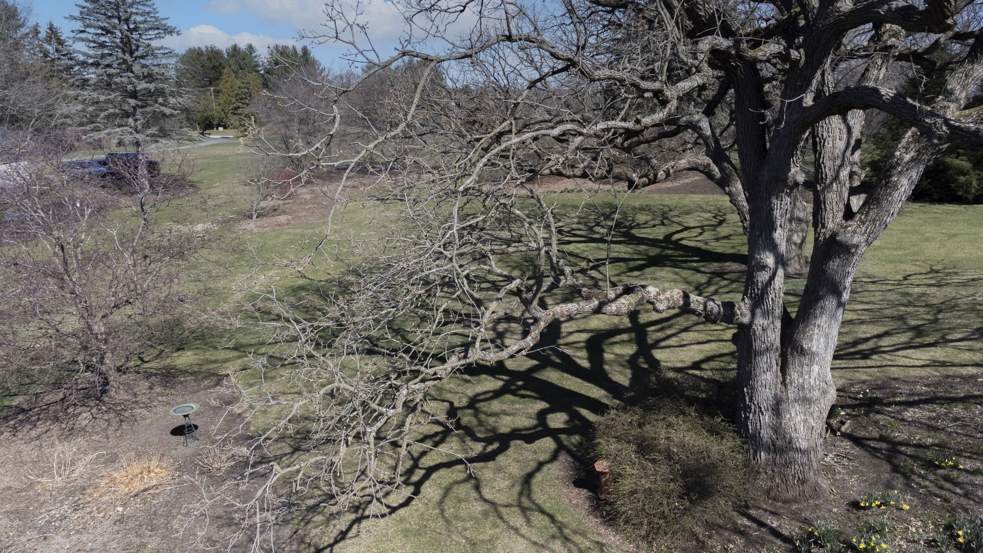 38W481 Silver Glen Road St. Charles, IL 60175 - Photo 19 of 21 a view of a tree in the forest