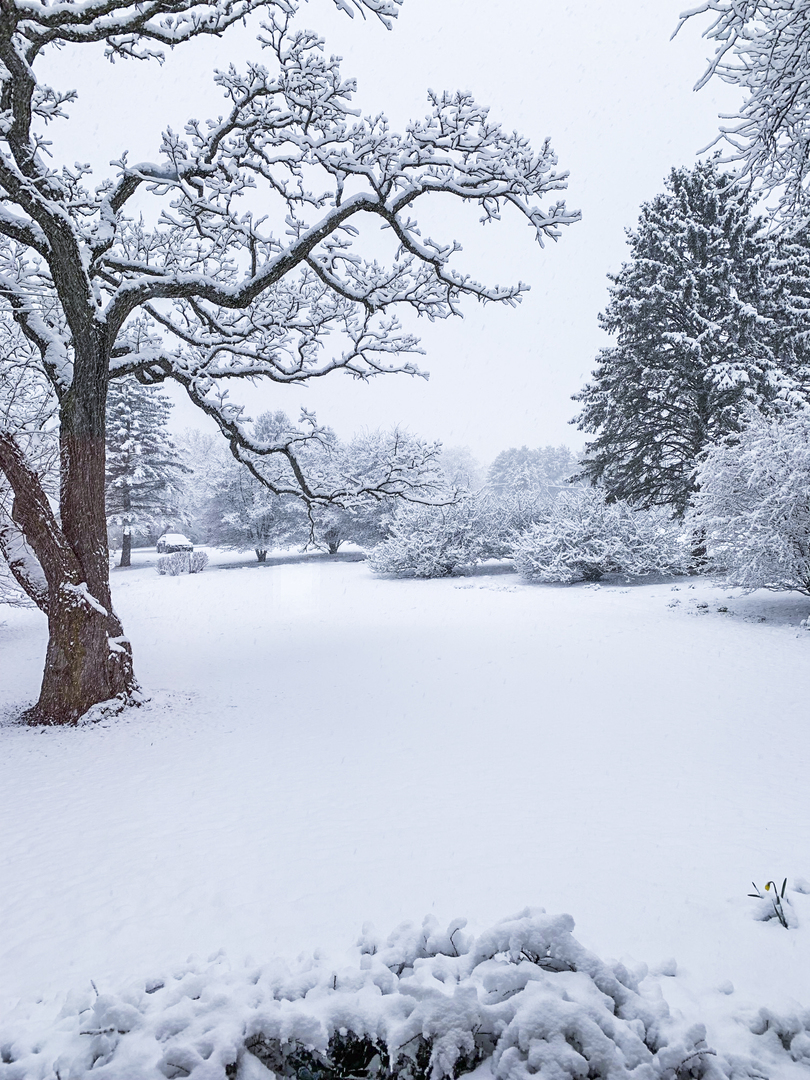 38W481 Silver Glen Road St. Charles, IL 60175 - Photo 20 of 21 a view of a covered with snow in the background