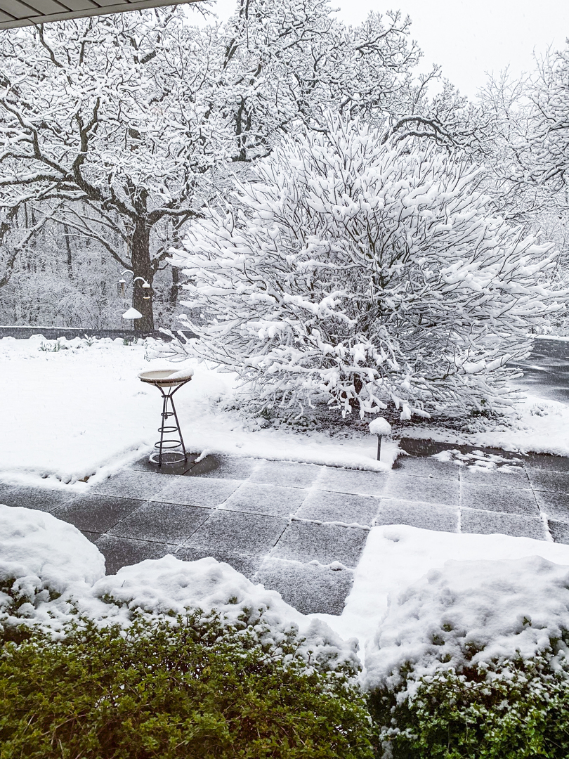 38W481 Silver Glen Road St. Charles, IL 60175 - Photo 21 of 21 a view of a dry yard with wooden fence