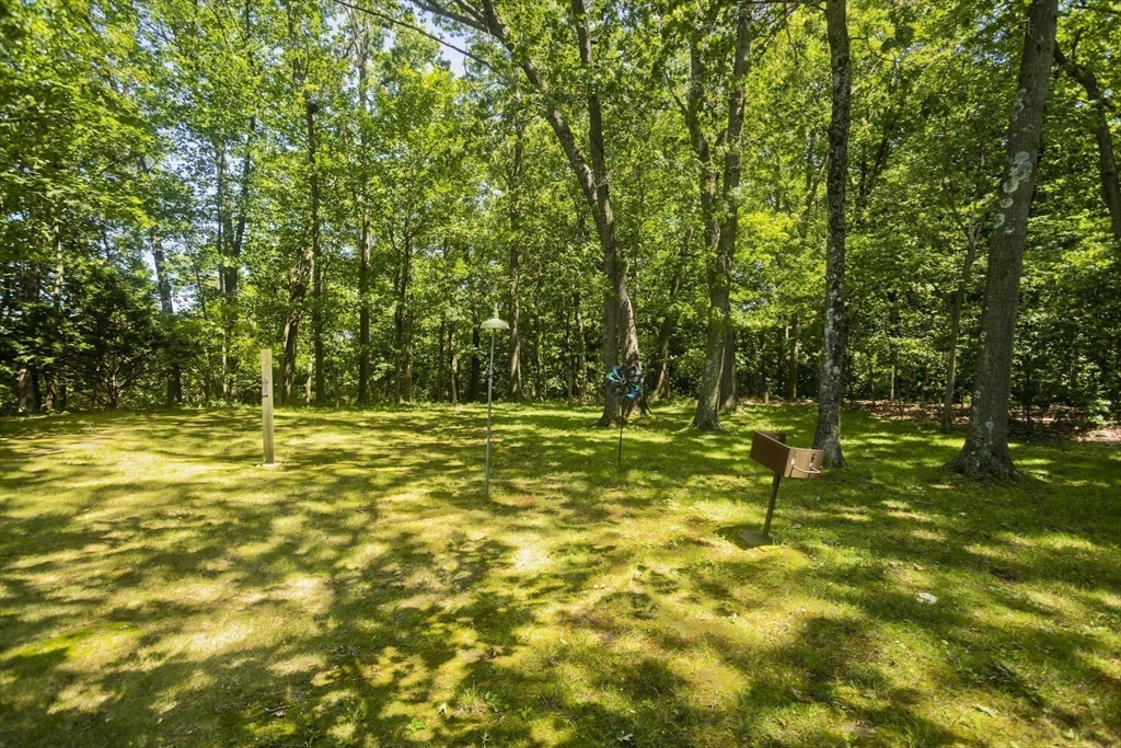 102 West Meadowview Road Holyoke, MA 01040 - Photo 37 of 39 a view of a yard with a tree