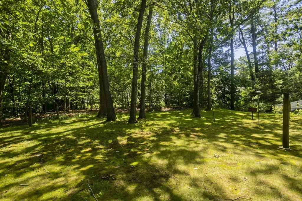 102 West Meadowview Road Holyoke, MA 01040 - Photo 39 of 39 a view of outdoor space and trees