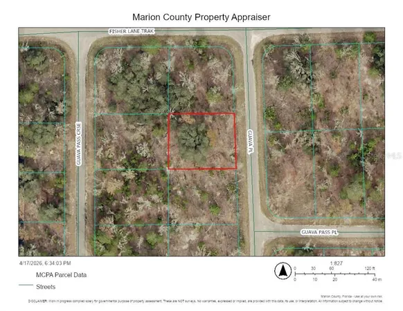 $13,999 | 0 Guava Place, Ocklawaha, FL 32179