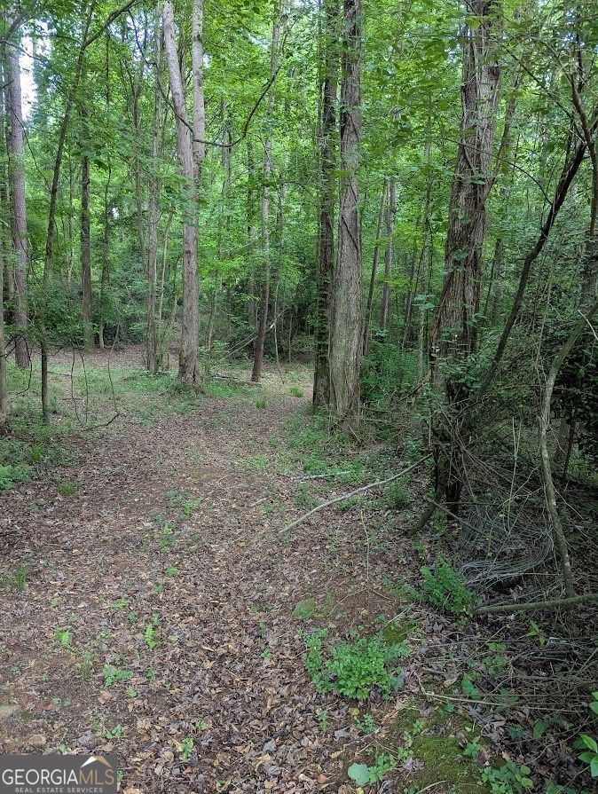2773 River Road Ellenwood, GA 30294 - Photo 11 of 19 a view of a forest with trees in the background