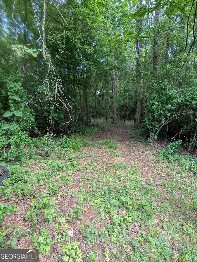 2773 River Road Ellenwood, GA 30294 - Photo 12 of 19 a view of outdoor space and green space