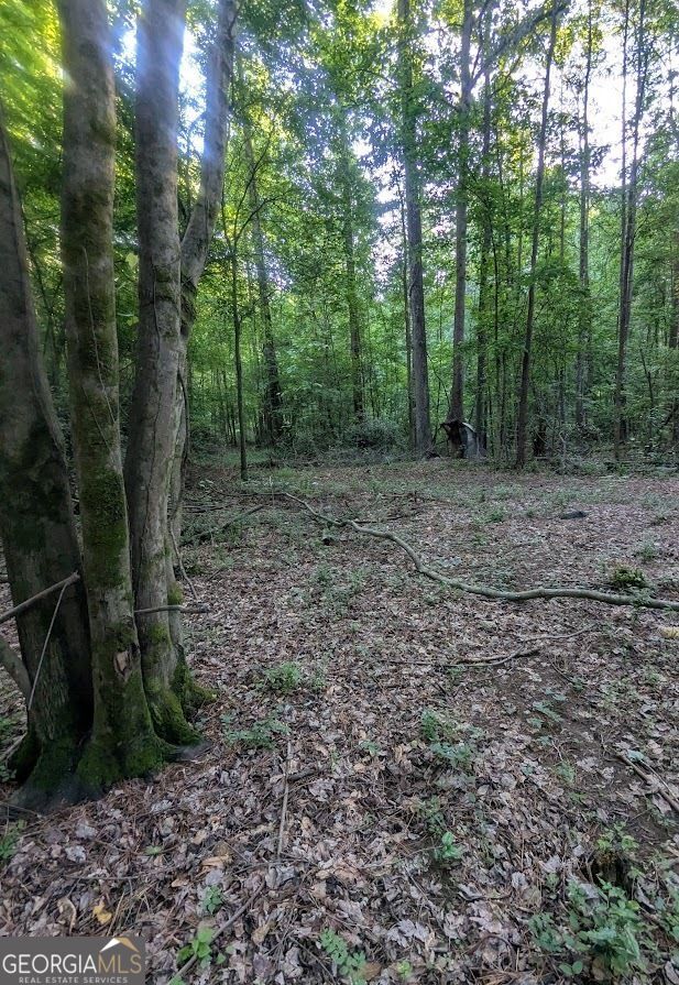 2773 River Road Ellenwood, GA 30294 - Photo 2 of 19 a view of a yard with trees