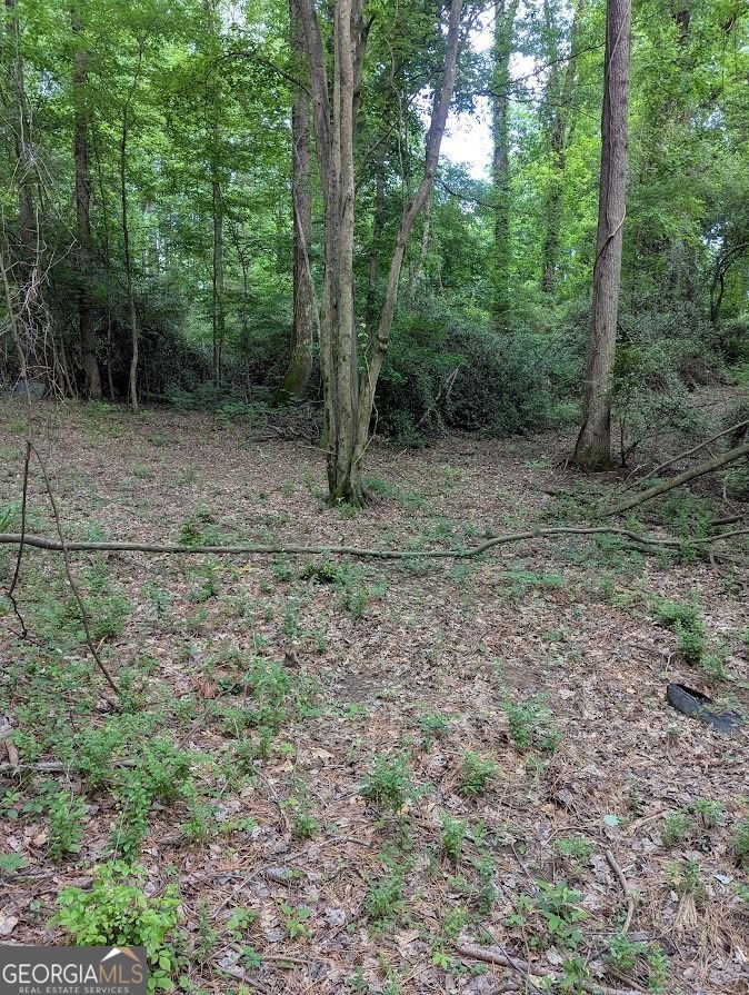 2773 River Road Ellenwood, GA 30294 - Photo 3 of 19 a view of a forest with trees in the background