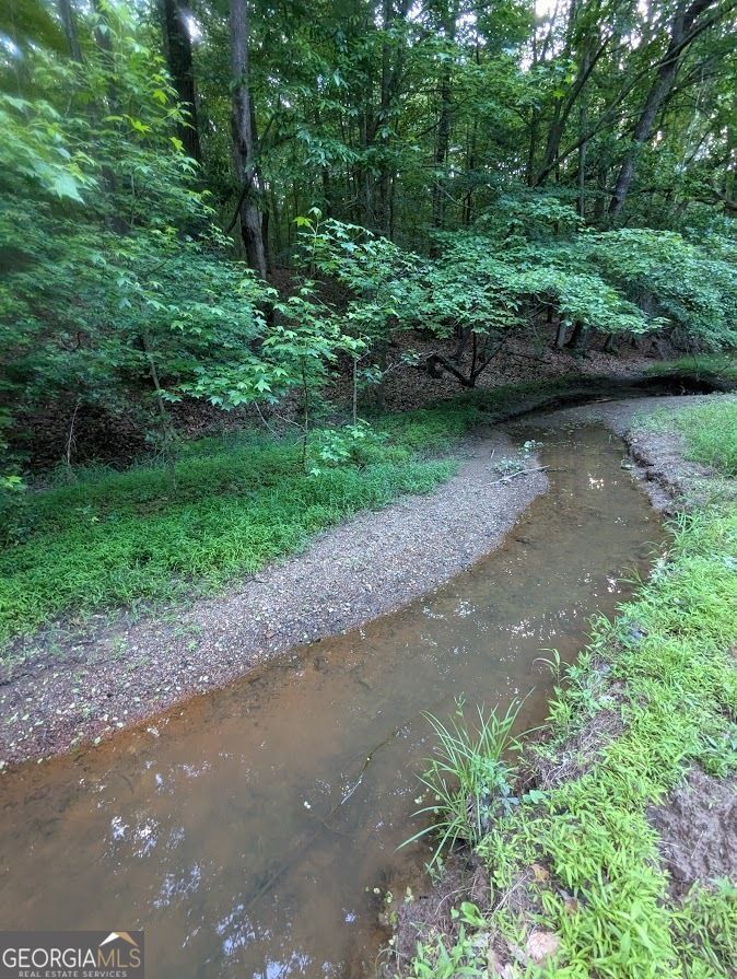 2773 River Road Ellenwood, GA 30294 - Photo 7 of 19 a view of a street with a tree