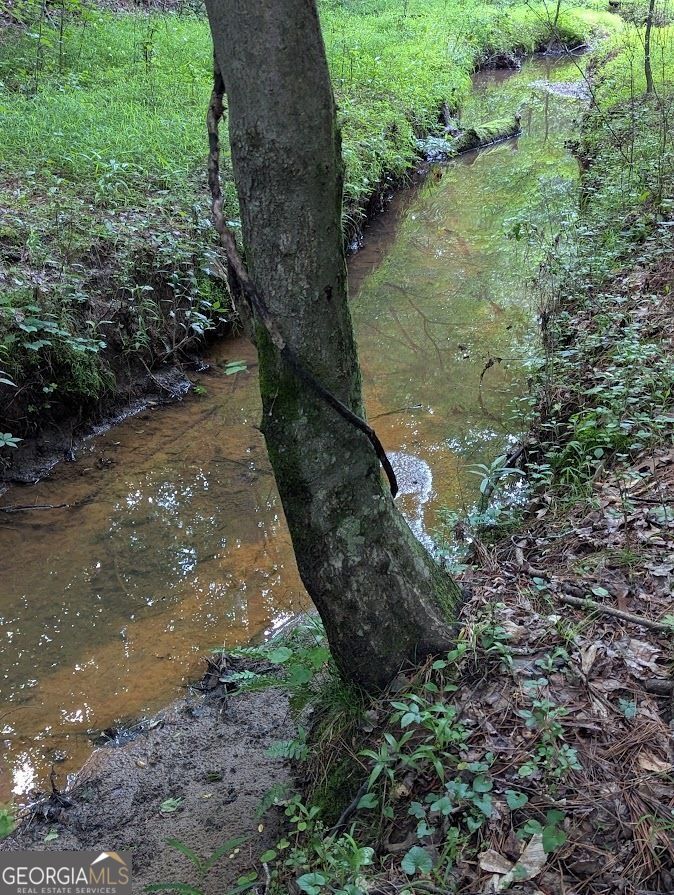 2773 River Road Ellenwood, GA 30294 - Photo 8 of 19 a view of a yard with large trees