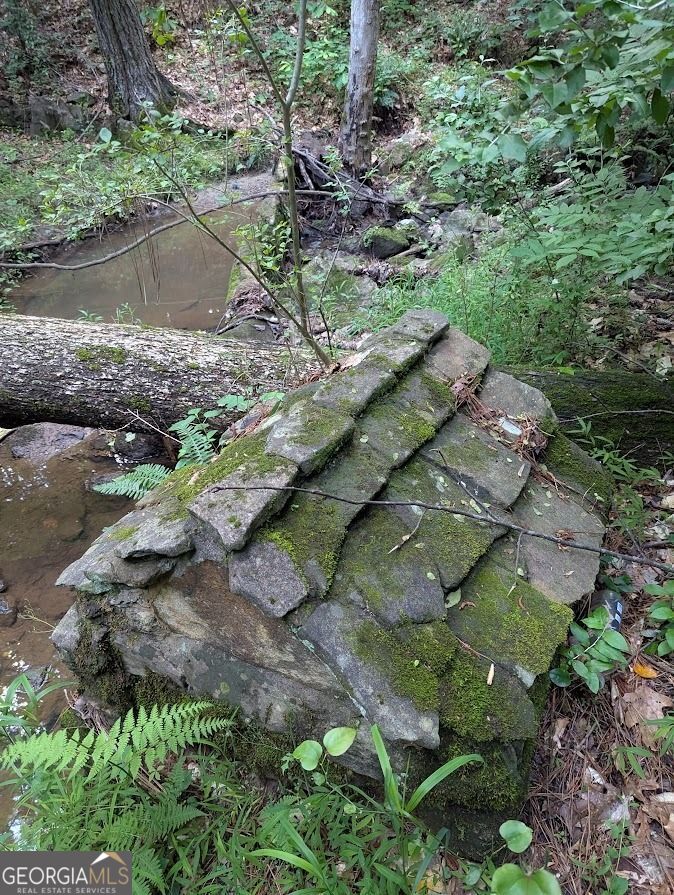 2773 River Road Ellenwood, GA 30294 - Photo 9 of 19 a aerial view of a house with a yard