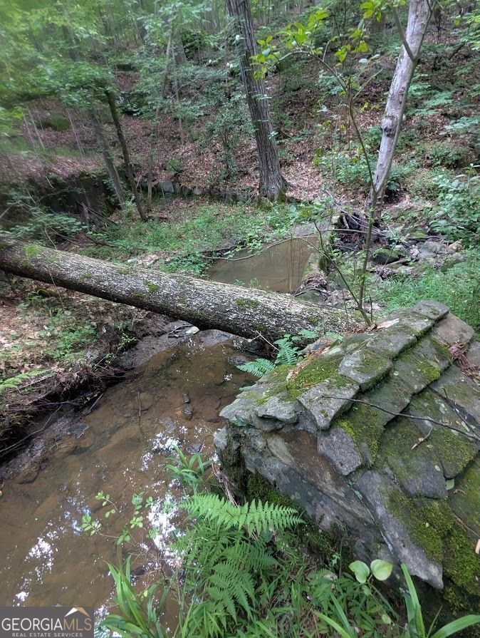 2773 River Road Ellenwood, GA 30294 - Photo 10 of 19 a backyard of a house with a yard and lake