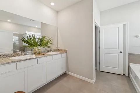 a bathroom with a sink a mirror and a potted plant