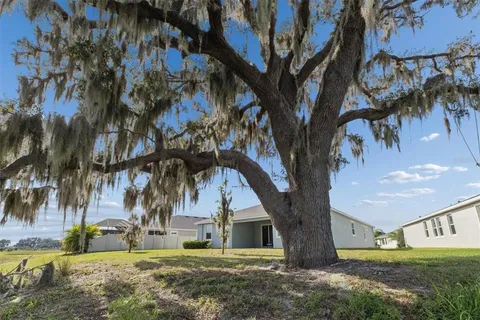 a view of a yard in front of a house