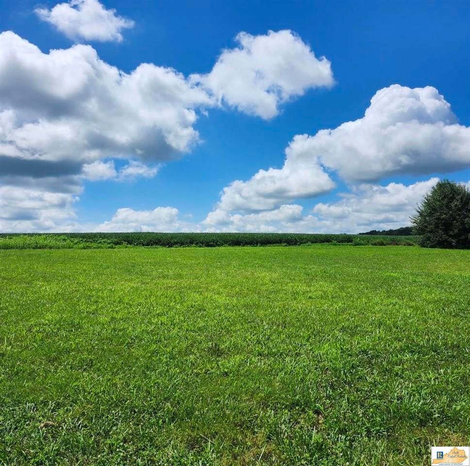 410 Falling Timber Road Glasgow, KY 42141 - Photo 8 of 50 Gallery Image 8