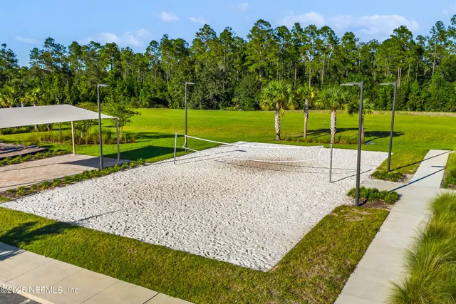 a view of a park with large trees