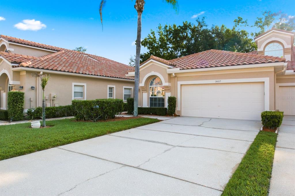 3857 Timber Ridge Court Palm Harbor, FL 34685 - Photo 3 of 56