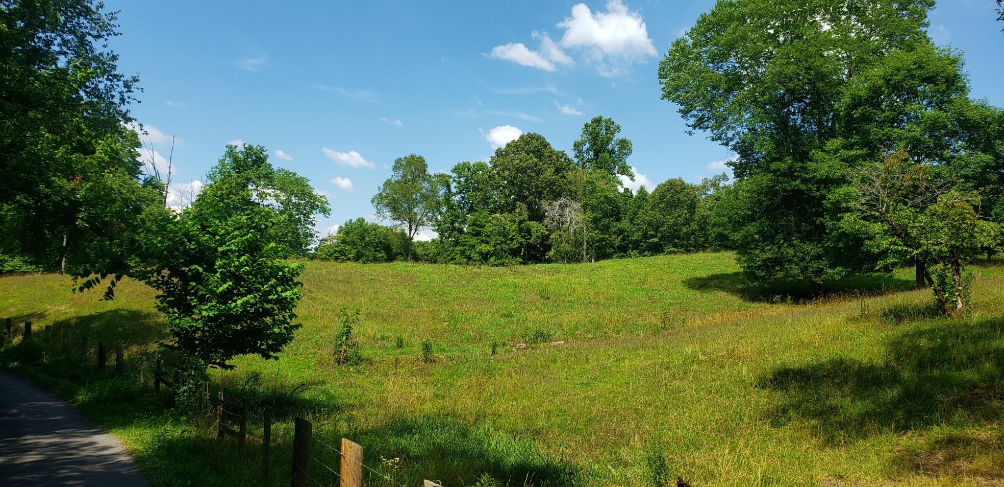 829 Sugar Creek Road Georgetown, TN 37336 - Photo 21 of 30