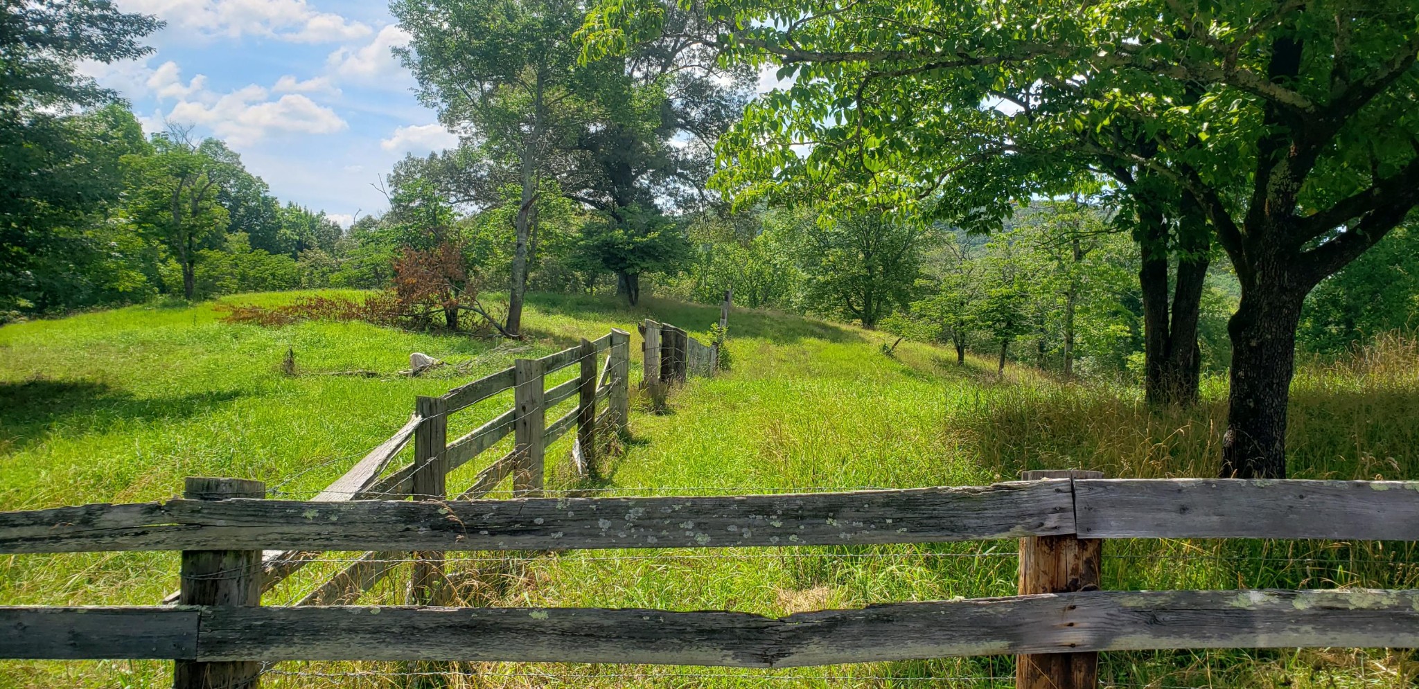 829 Sugar Creek Road Georgetown, TN 37336 - Photo 3 of 30
