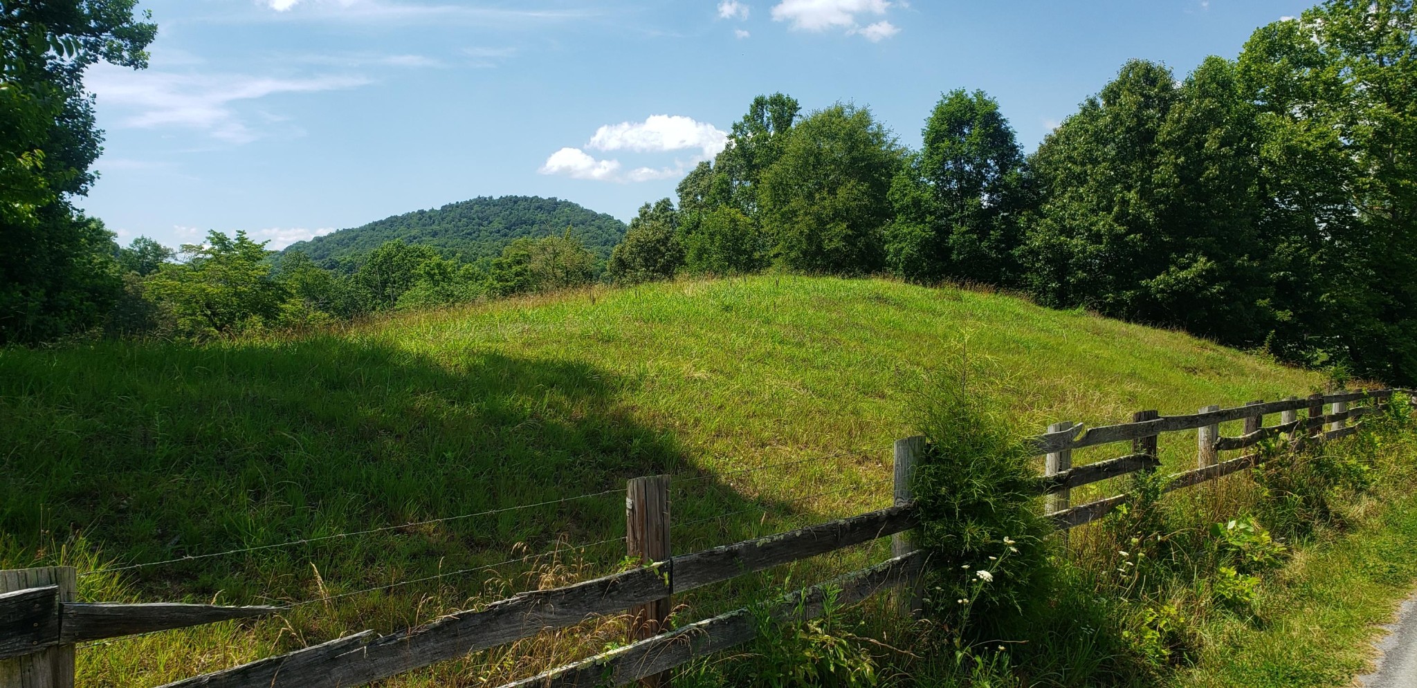829 Sugar Creek Road Georgetown, TN 37336 - Photo 9 of 30