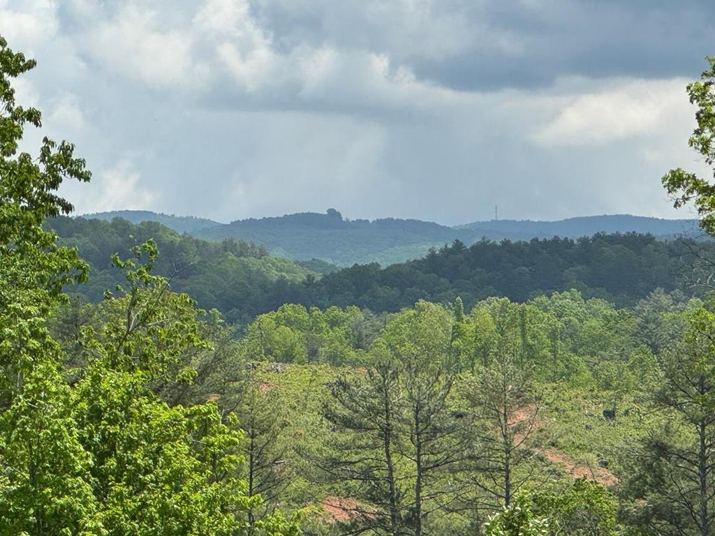 Tbd Tbd Marian Road Dugspur, VA 24325 - Photo 3 of 9 Gallery Image 3